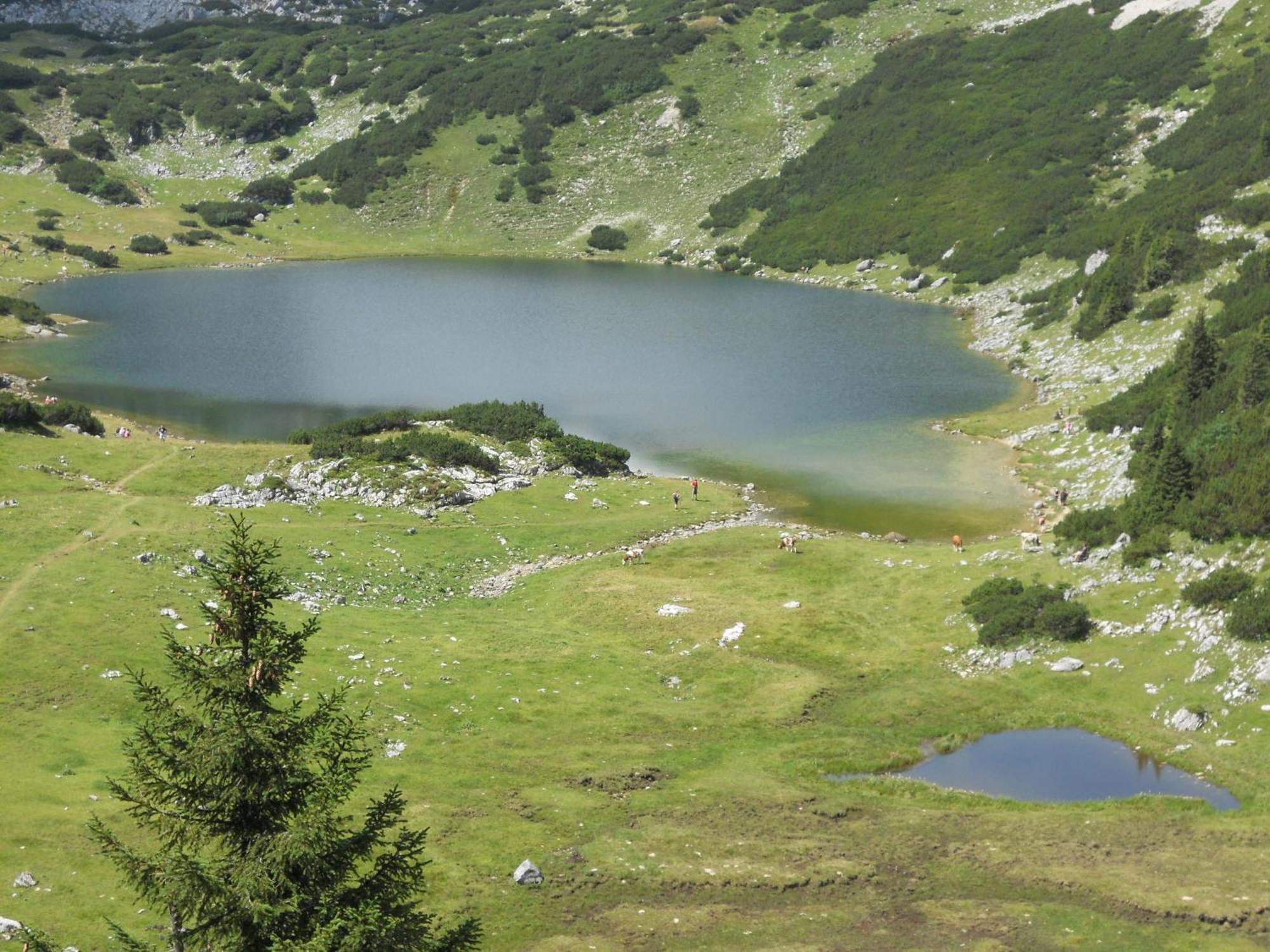 Landgasthof Pfarrwirt Hotell Thiersee Eksteriør bilde
